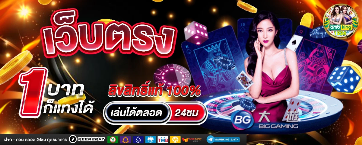 pg slot เว็บใหม่ - แบนเนอร์โปรโมชั่น